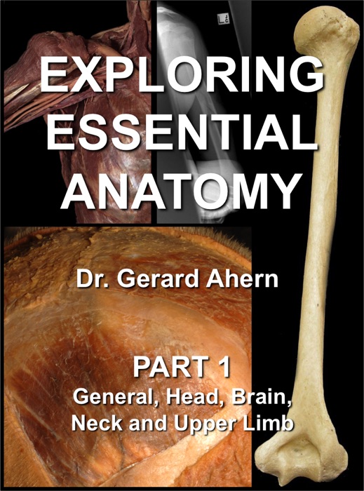 Exploring Essential Anatomy: Part 1