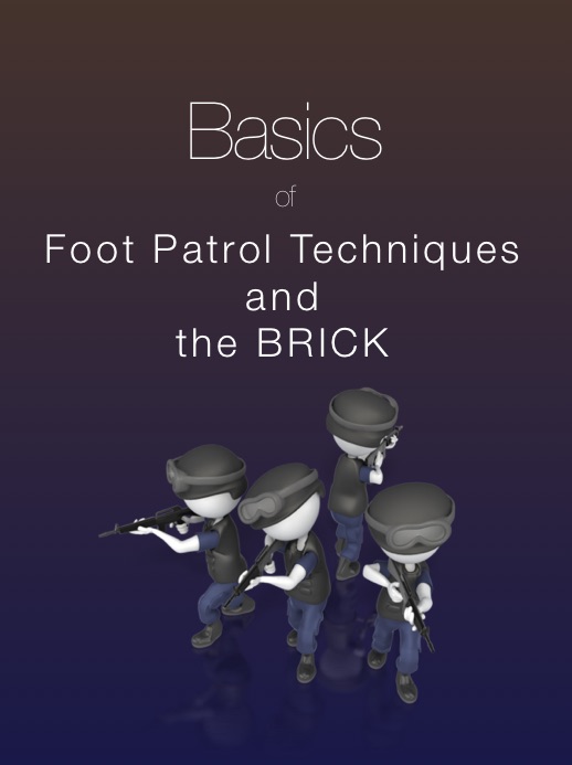 Basics of Foot Patrol Techniques Using the Brick