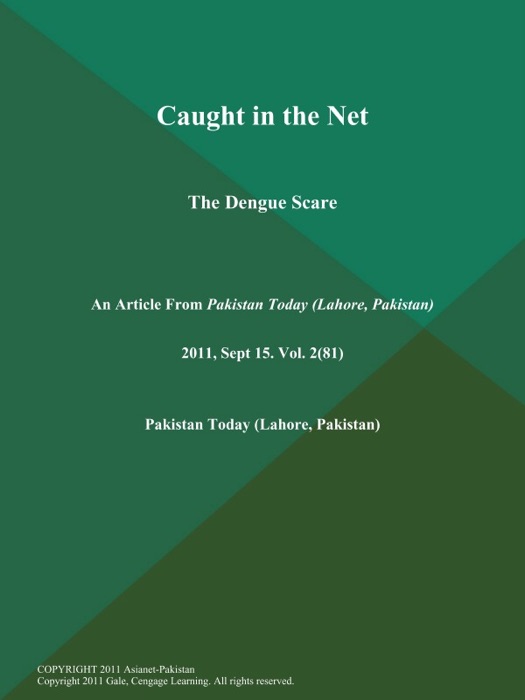 Caught in the Net: The Dengue Scare