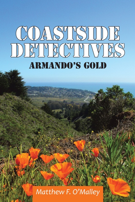 Coastside Detectives