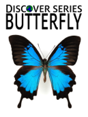 Butterfly - Xist Publishing