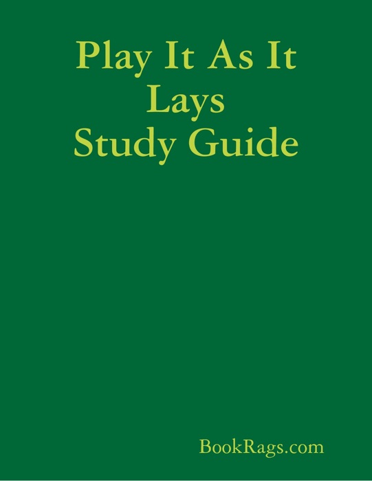 Play It as It Lays Study Guide