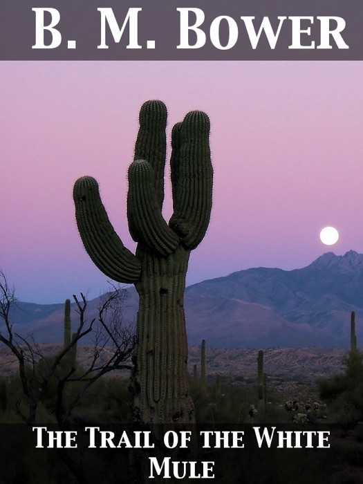 The Trail of the White Mule
