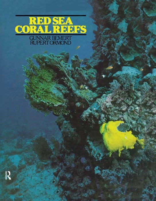 Red Sea Coral Reefs