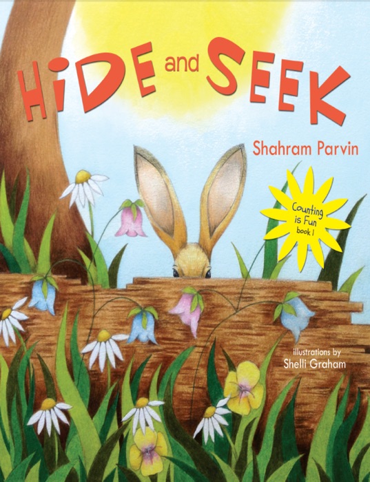Hide and Seek: Counting is Fun book 1