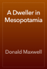 A Dweller in Mesopotamia - Donald Maxwell