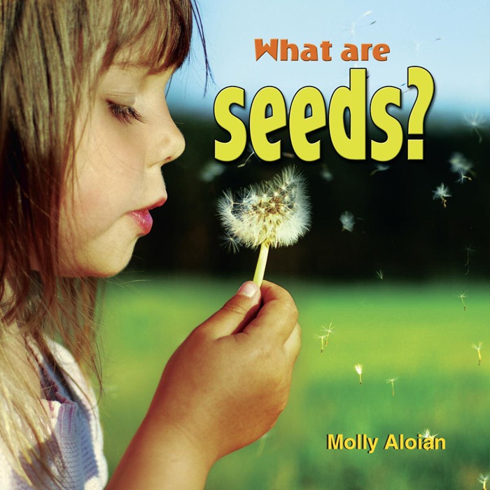 What are seeds?