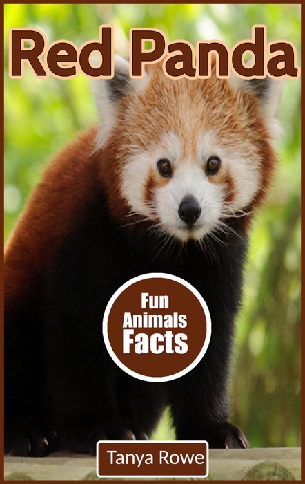 Red Panda