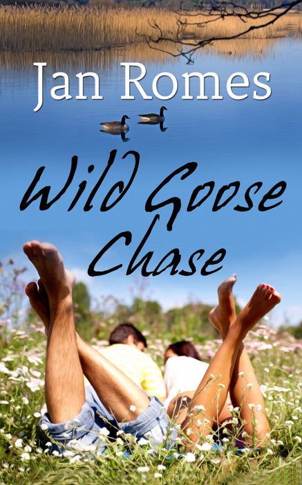 Wild Goose Chase