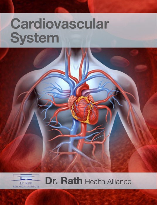 CHE: Cardiovascular System