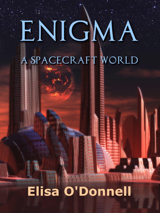 Enigma: A Spacecraft World