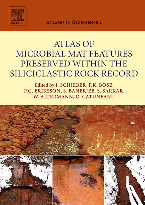 Atlas of Microbial Mat Features Preserved within the Siliciclastic Rock Record (Enhanced Edition)