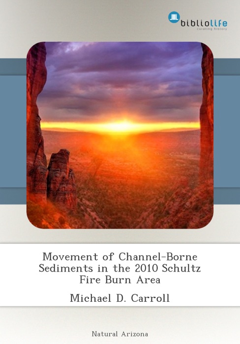 Movement of Channel-Borne Sediments in the 2010 Schultz Fire Burn Area