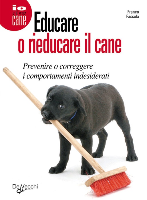 Educare o rieducare il cane