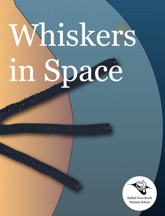 Whiskers in Space