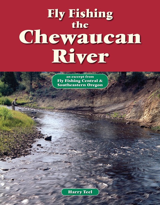 Fly Fishing the Chewaucan River