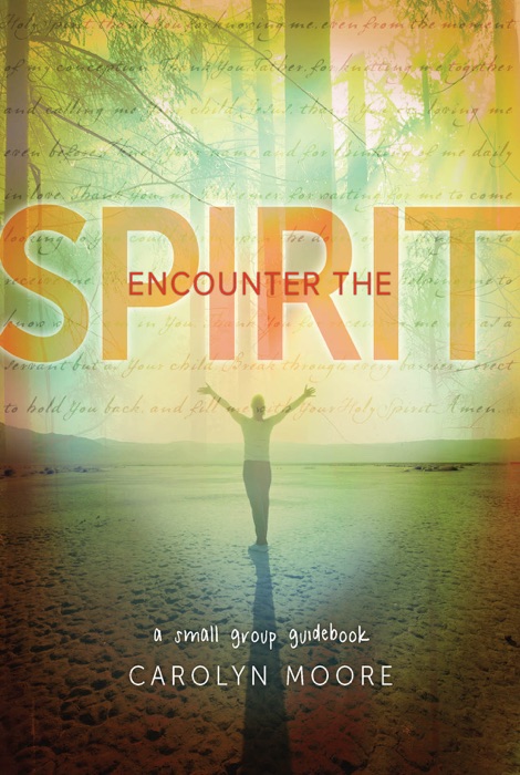 Encounter the Spirit