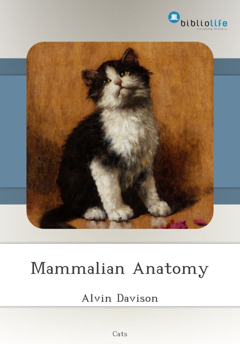 Mammalian Anatomy