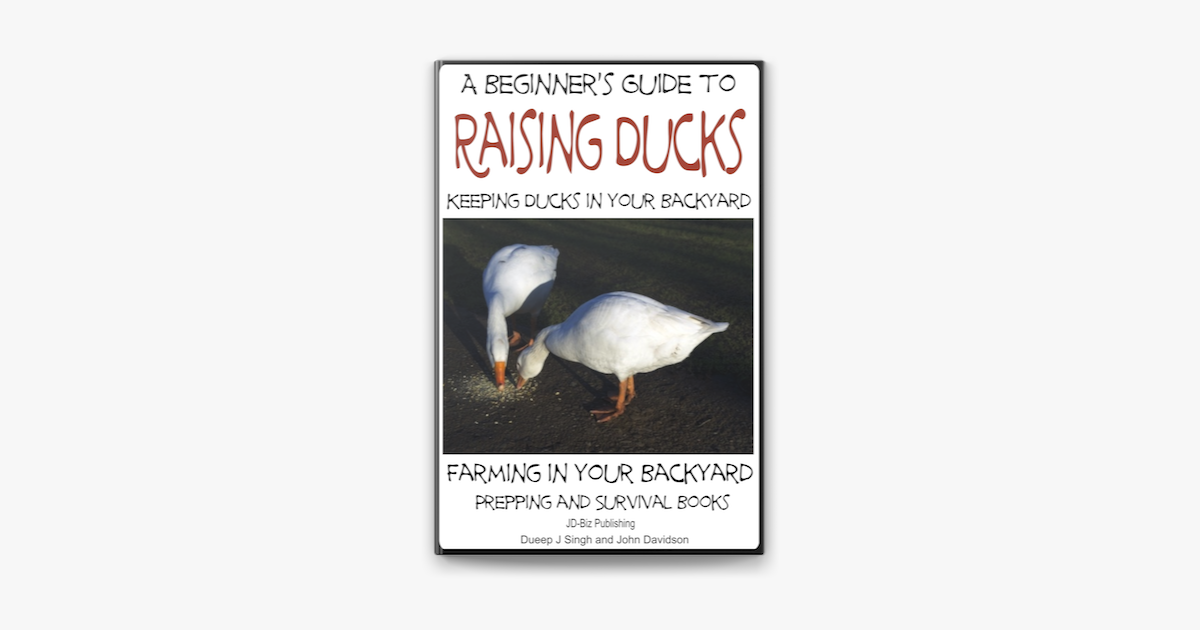 A Beginner S Guide To Keeping Ducks Keeping Ducks In Your