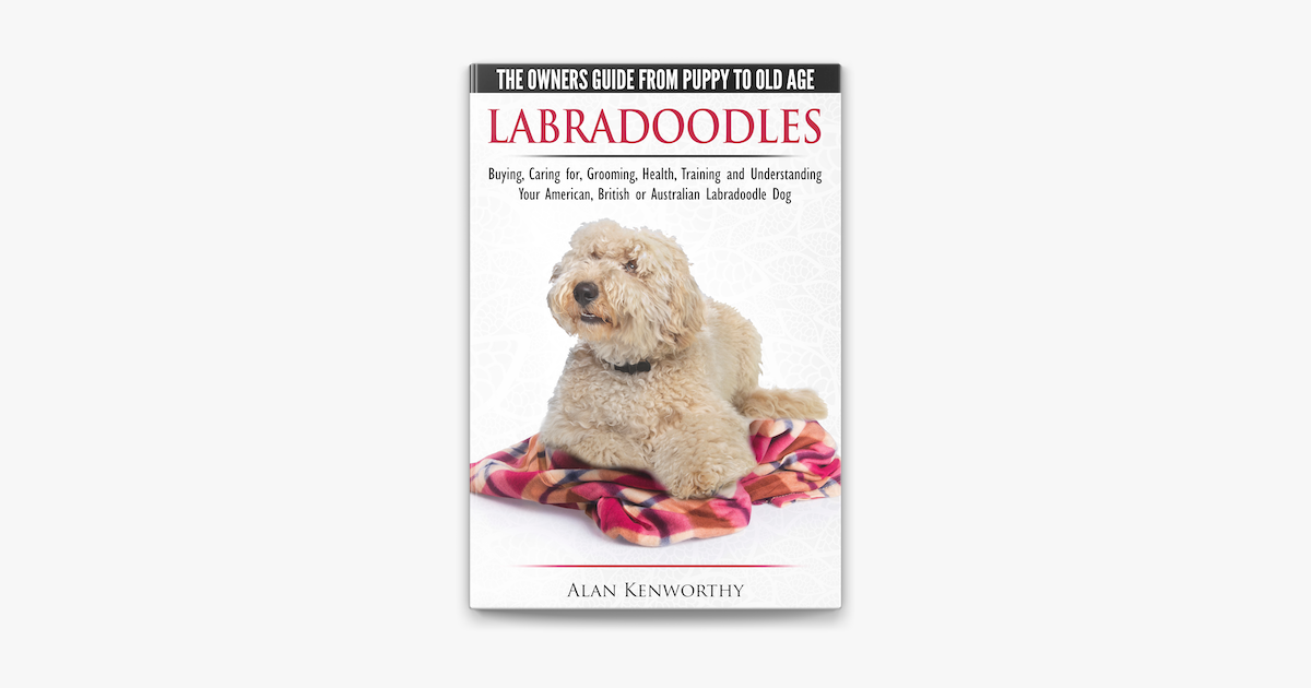 how do you potty train a labradoodle puppy