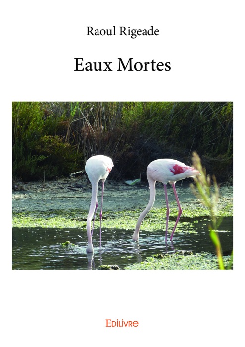 Eaux Mortes