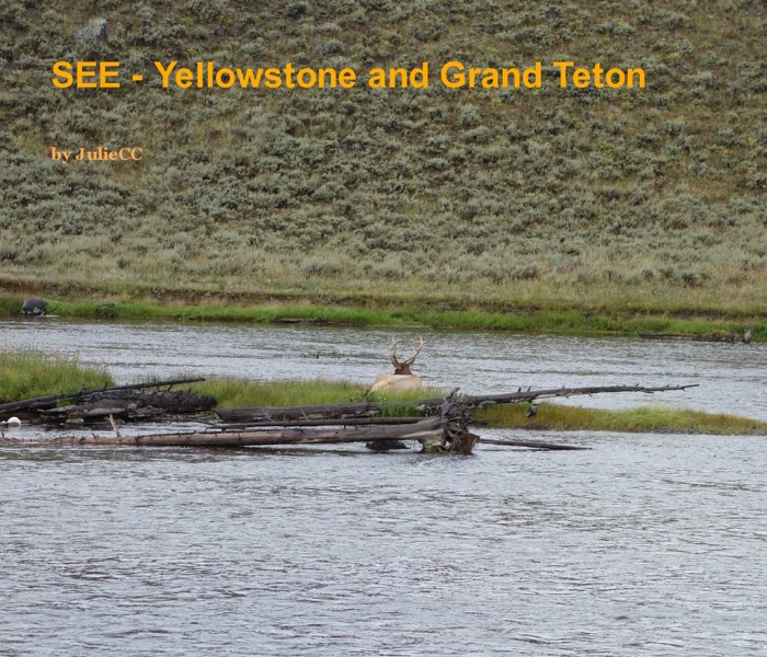 SEE - Yellowstone and Grand Teton