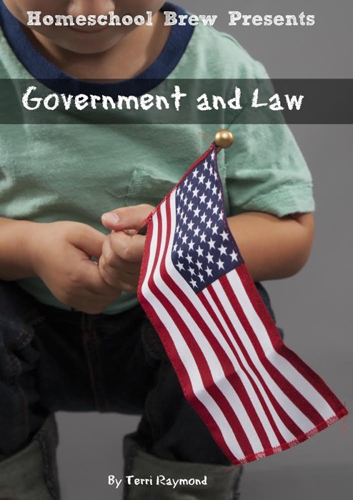 Government and Law