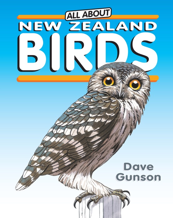 All About New Zealand Birds