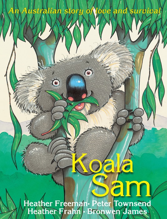 Koala Sam