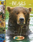 Zoobooks Bears Animals - Wildlife Education, Ltd