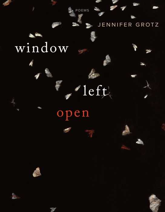 Window Left  Open