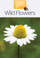 Collins - Wild Flowers artwork