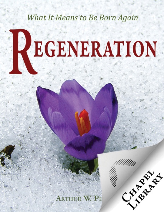 Regeneration: What It Means to Be Born Again