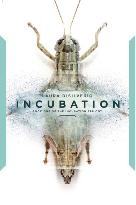 Incubation