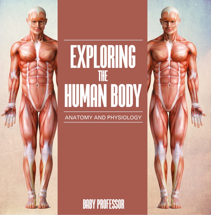 Exploring the Human Body  Anatomy and Physiology