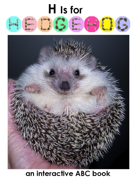 H Is for Hedgehog