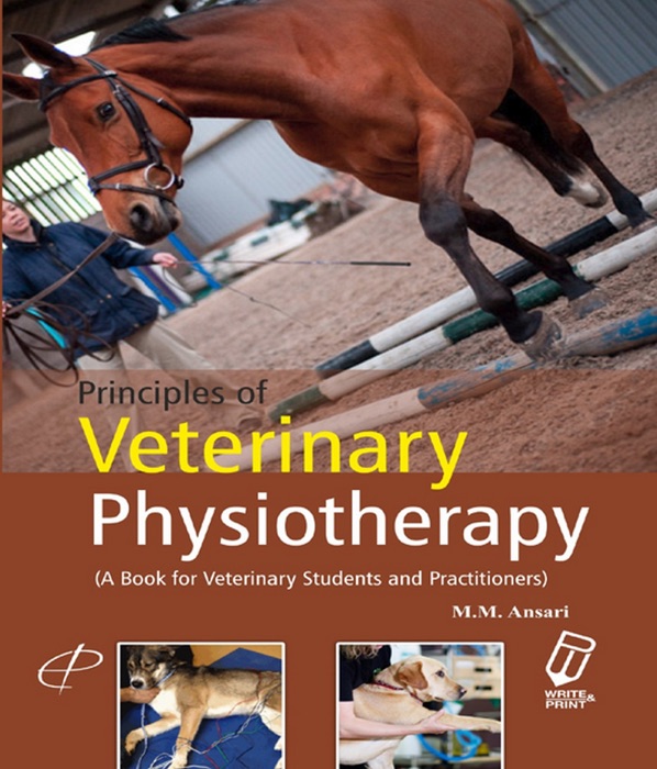 Principles of Veterinary Physiotherapy