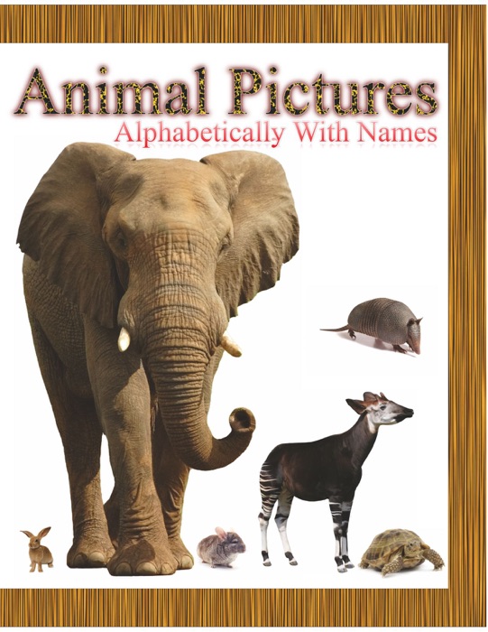 Animal Pictures Alphabetically with Names