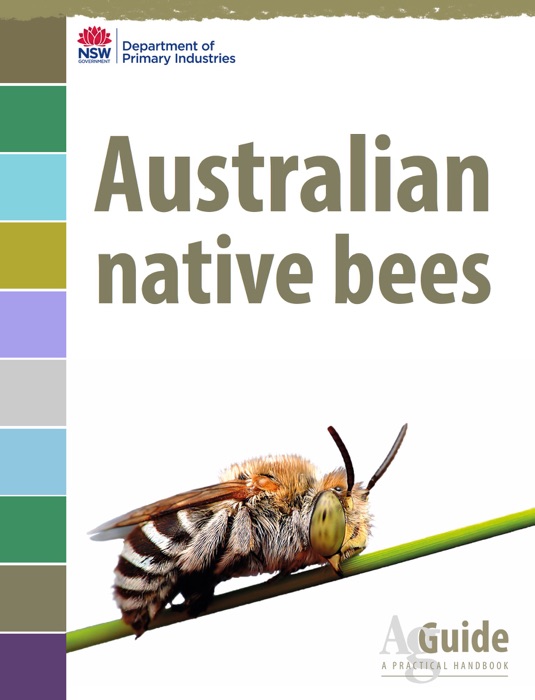 Australian Native Bees