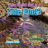 What Do You Find in a Tide Pool? - Megan Kopp