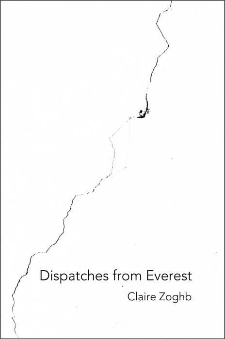 Dispatches from Everest