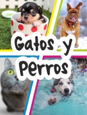 Gatos y Perros