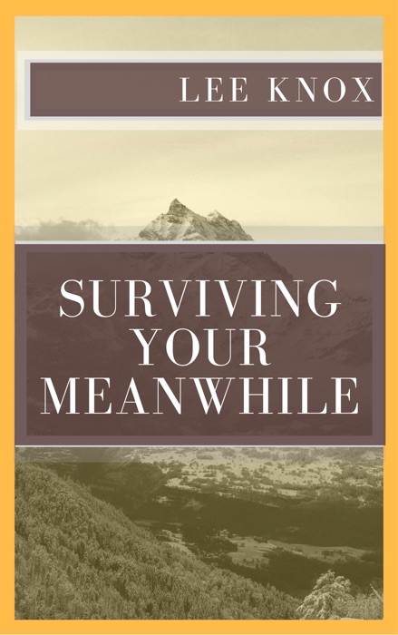 Surviving Your Meanwhile