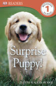 DK Readers L1: Surprise Puppy (Enhanced Edition) - Judith Walker-Hodge