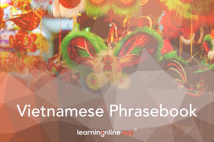 Vietnamese Extended Phrasebook