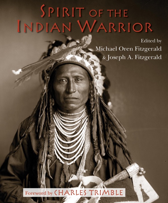 Spirit of the Indian Warrior