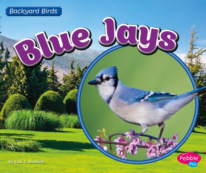 Blue Jays