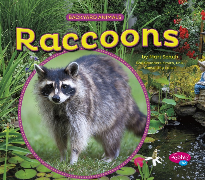 Raccoons