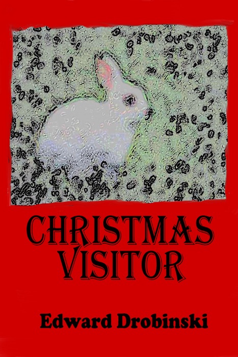 Christmas Visitor