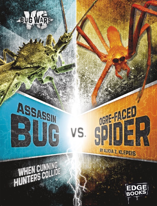 Assassin Bug vs. Ogre-Faced Spider